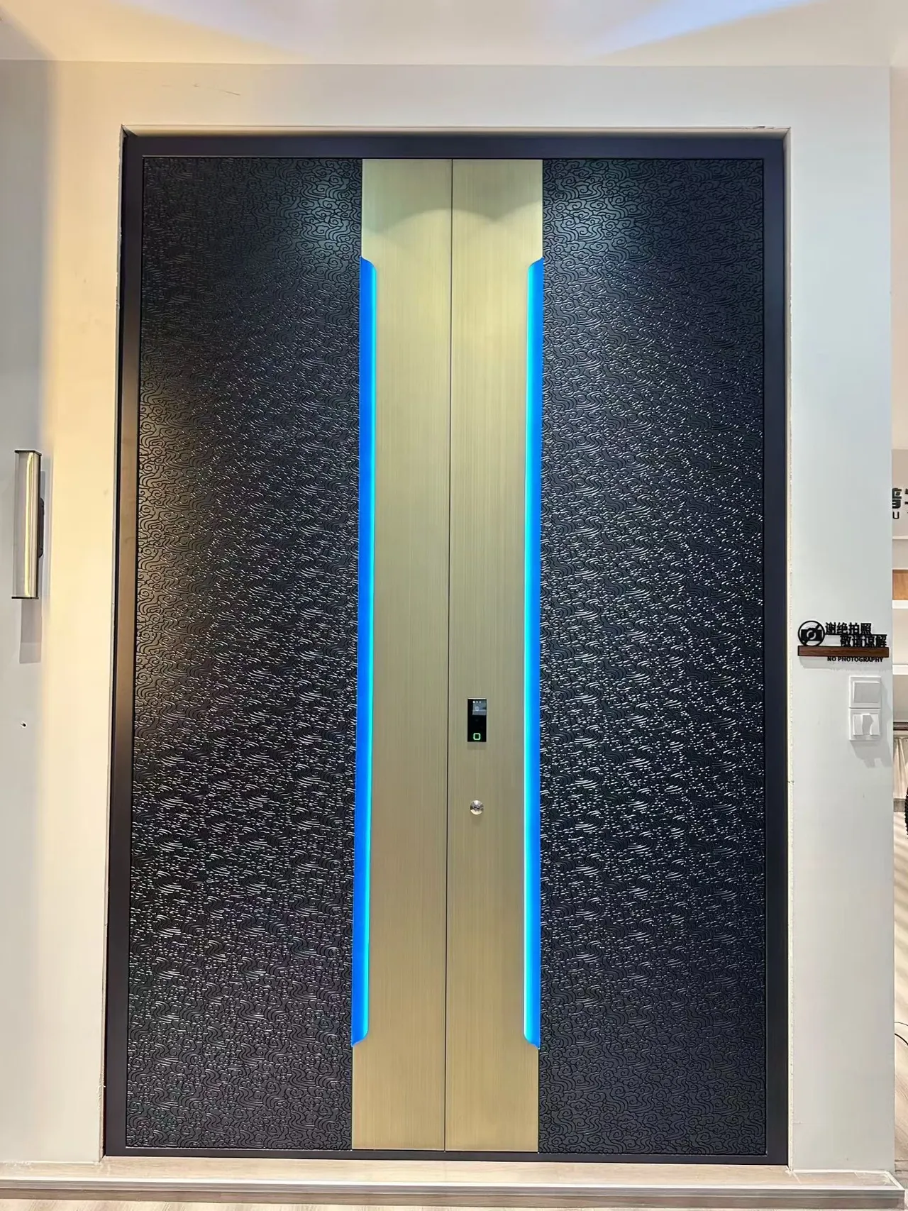 minimalist cast aluminium entrance door 14