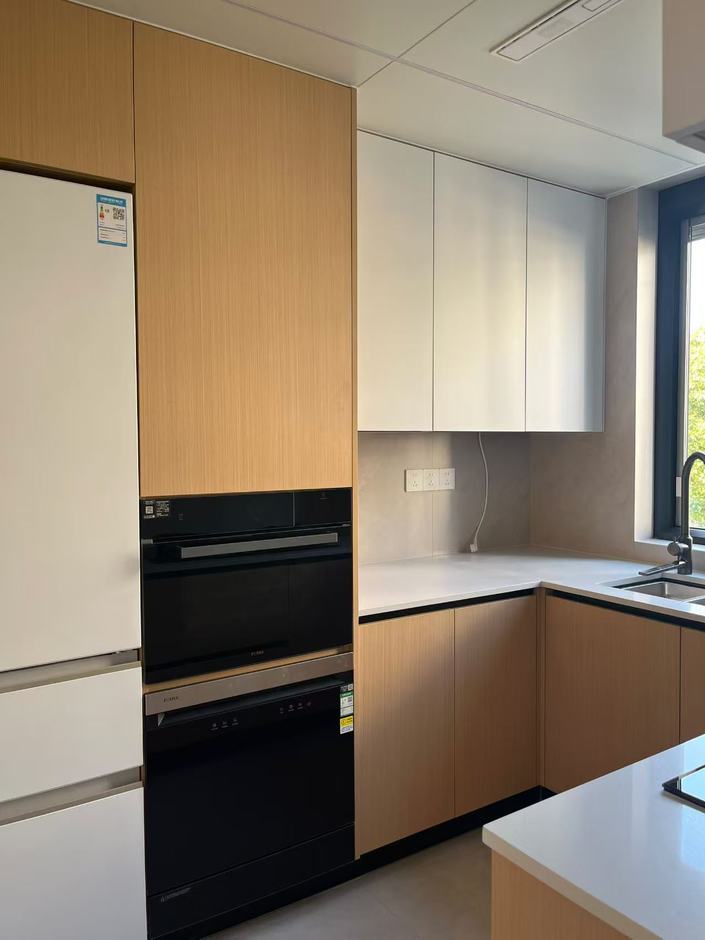 Kitchen — integrated appliance joinery